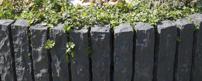 Black basalt palisade edging along an ivy bed