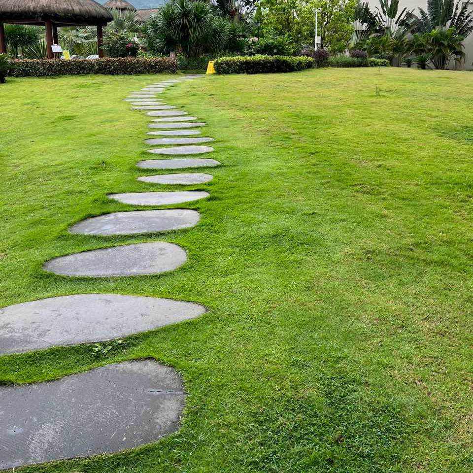 Irregular basalt stepping stones forming a path through a wide lawn